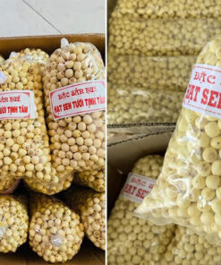 HẠT SEN TƯƠI HUẾ LOẠI 1 THƠM NGON BÙI BỞ 6 Hạt sen tươi Huế